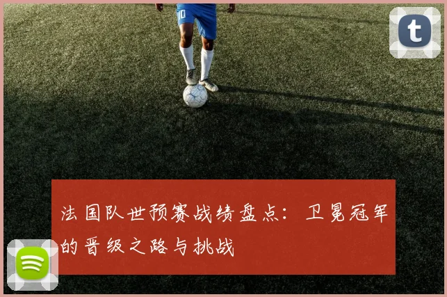 法国队世预赛战绩盘点：卫冕冠军的晋级之路与挑战