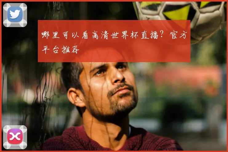 哪里可以看高清世界杯直播？官方平台推荐