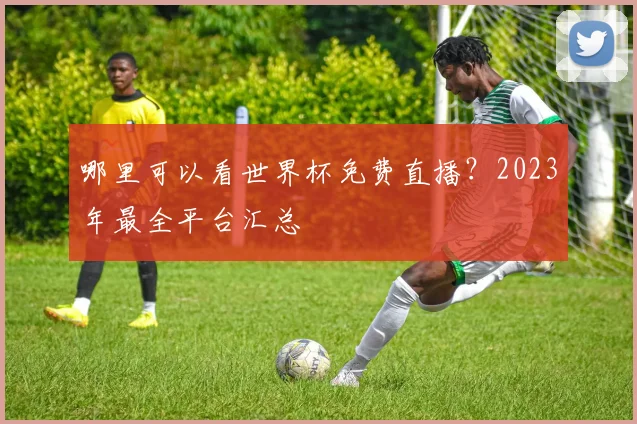 哪里可以看世界杯免费直播？2023年最全平台汇总