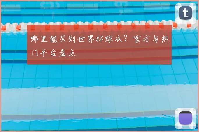 哪里能买到世界杯球衣？官方与热门平台盘点
