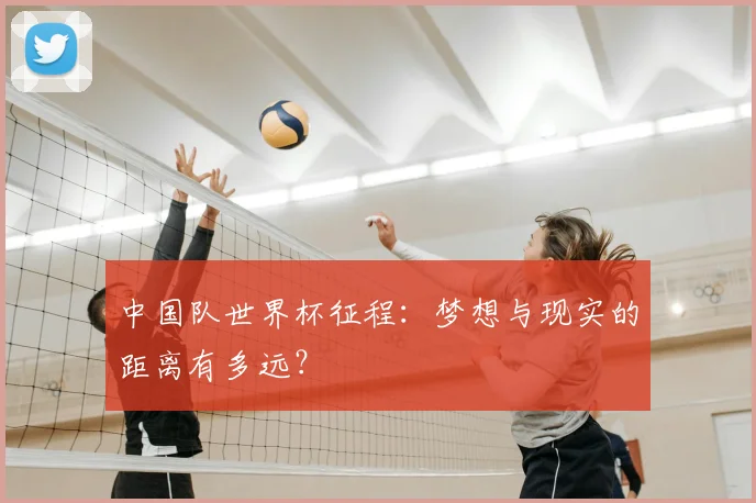 中国队世界杯征程：梦想与现实的距离有多远？