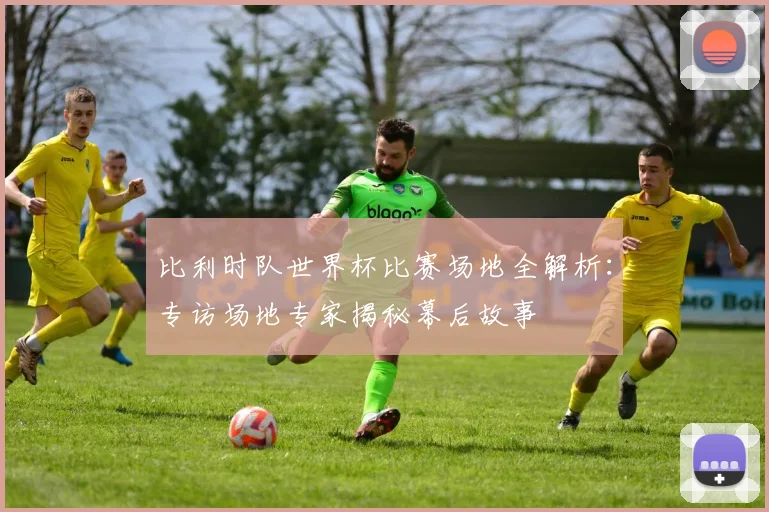 比利时队世界杯比赛场地全解析：专访场地专家揭秘幕后故事