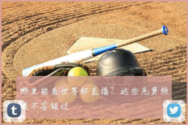 哪里能看世界杯直播？这些免费频道不容错过