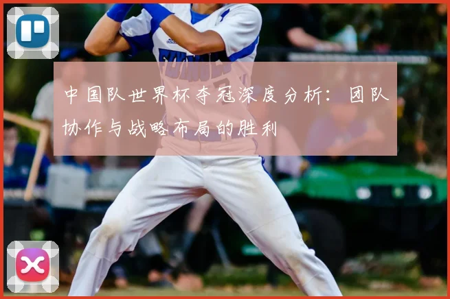 中国队世界杯夺冠深度分析：团队协作与战略布局的胜利
